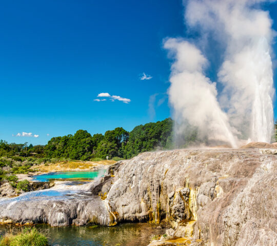 A geyser near Rotorua
