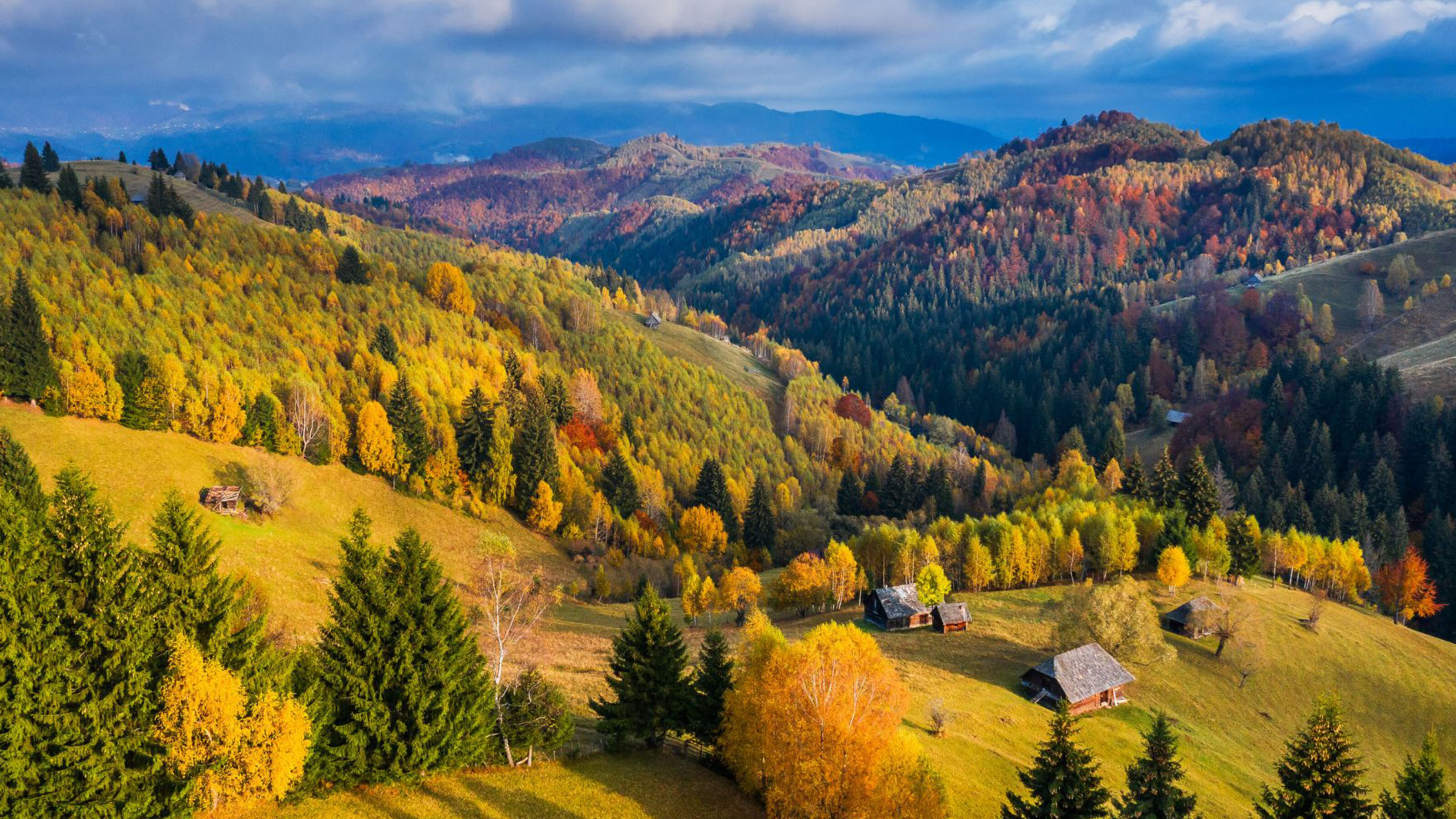 A Transylvanian Immersion