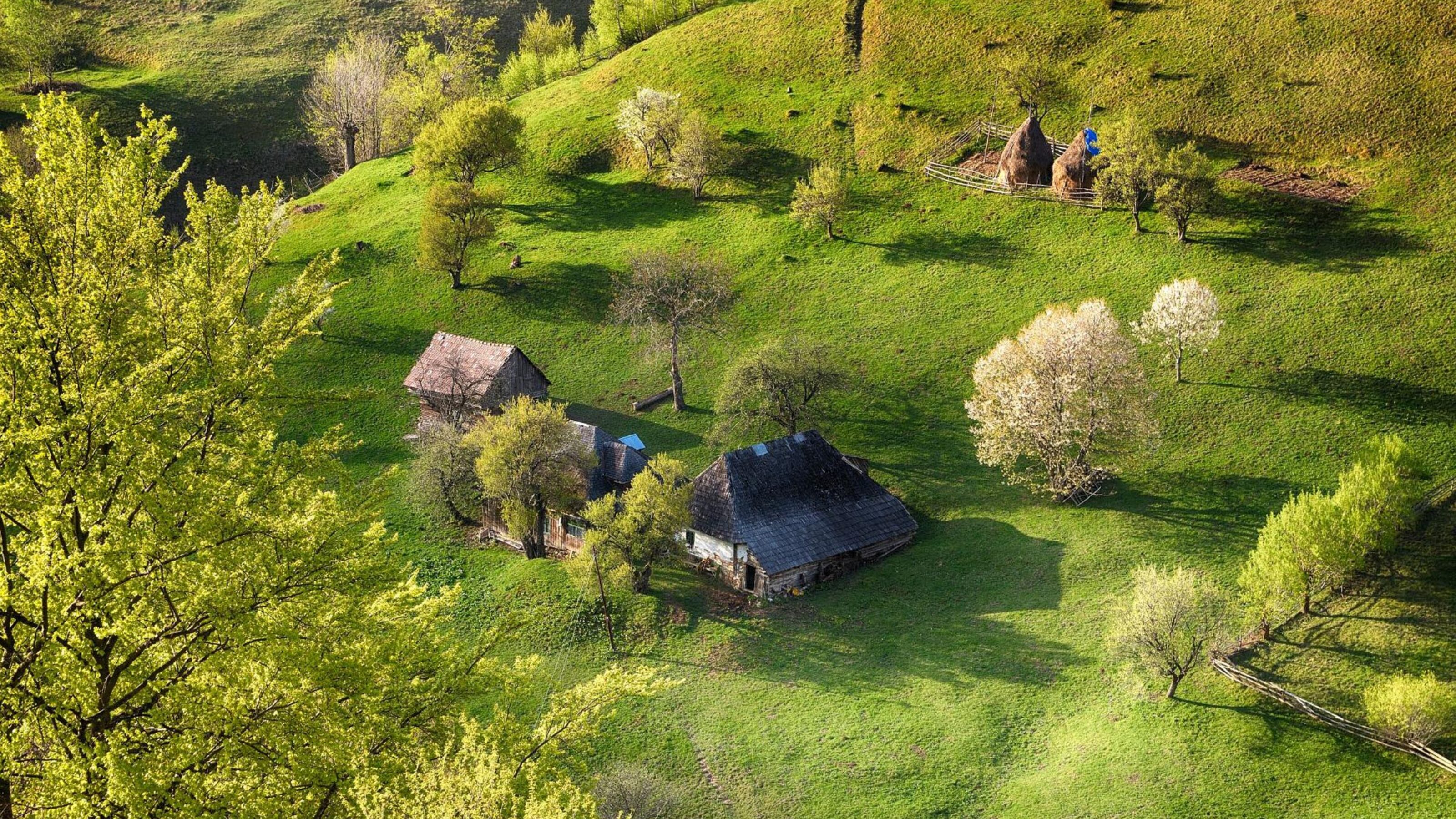 A Transylvanian Immersion