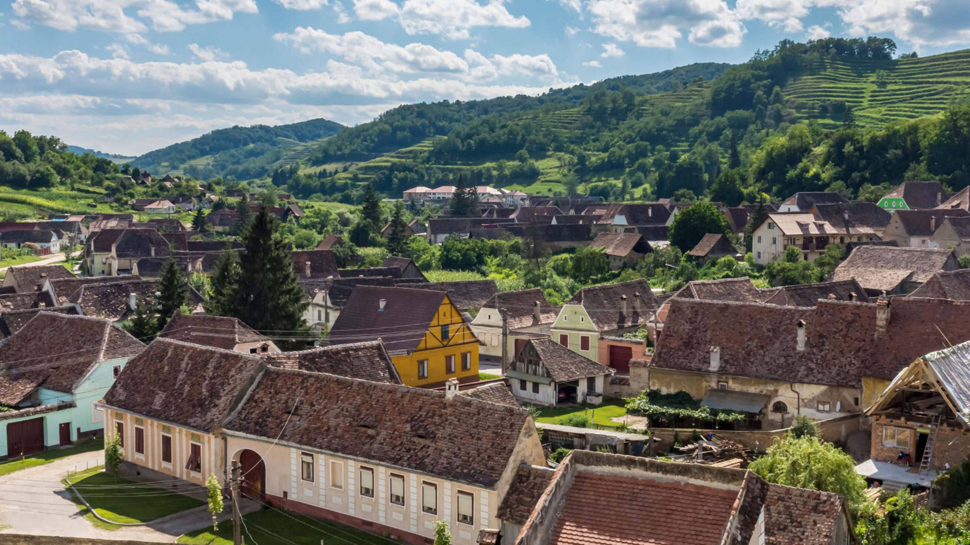 A Transylvanian Immersion