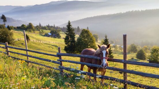 A brown and white horse stands by a wooden fence on a grassy hillside in a misty mountain landscape.