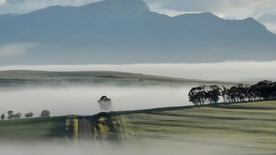 A quiet country road in Swartland, South Africa