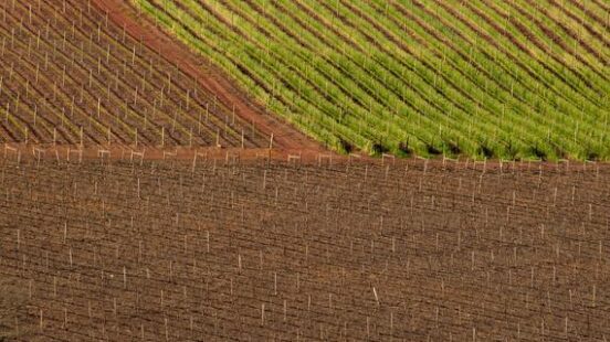 Shapes of Cultivated Land, Elgin, South Africa