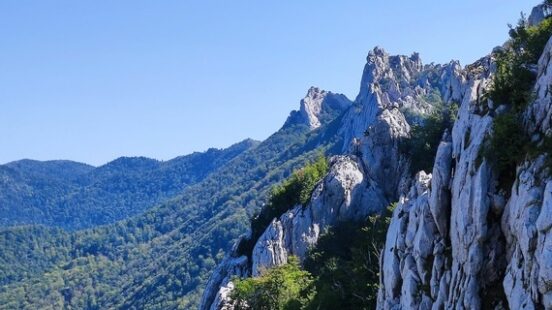 Vertical of the mountains and forest in Northern Velebit National Park in Croatia