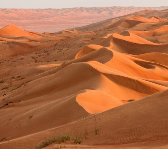 The rolling dunes of Wahiba Sands