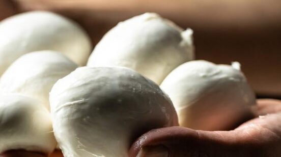 Cheesemaker, showing freshly made mozzarella.
