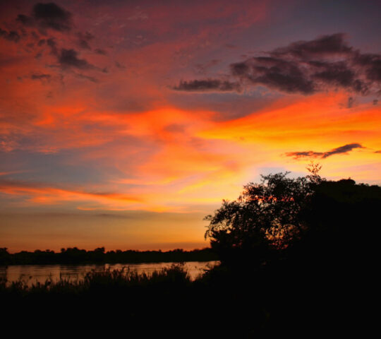 Zambezi sunset