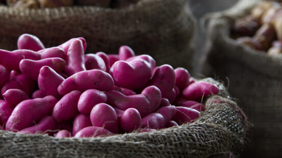 Small purple potatoes at the market in Silvia, Colombia.