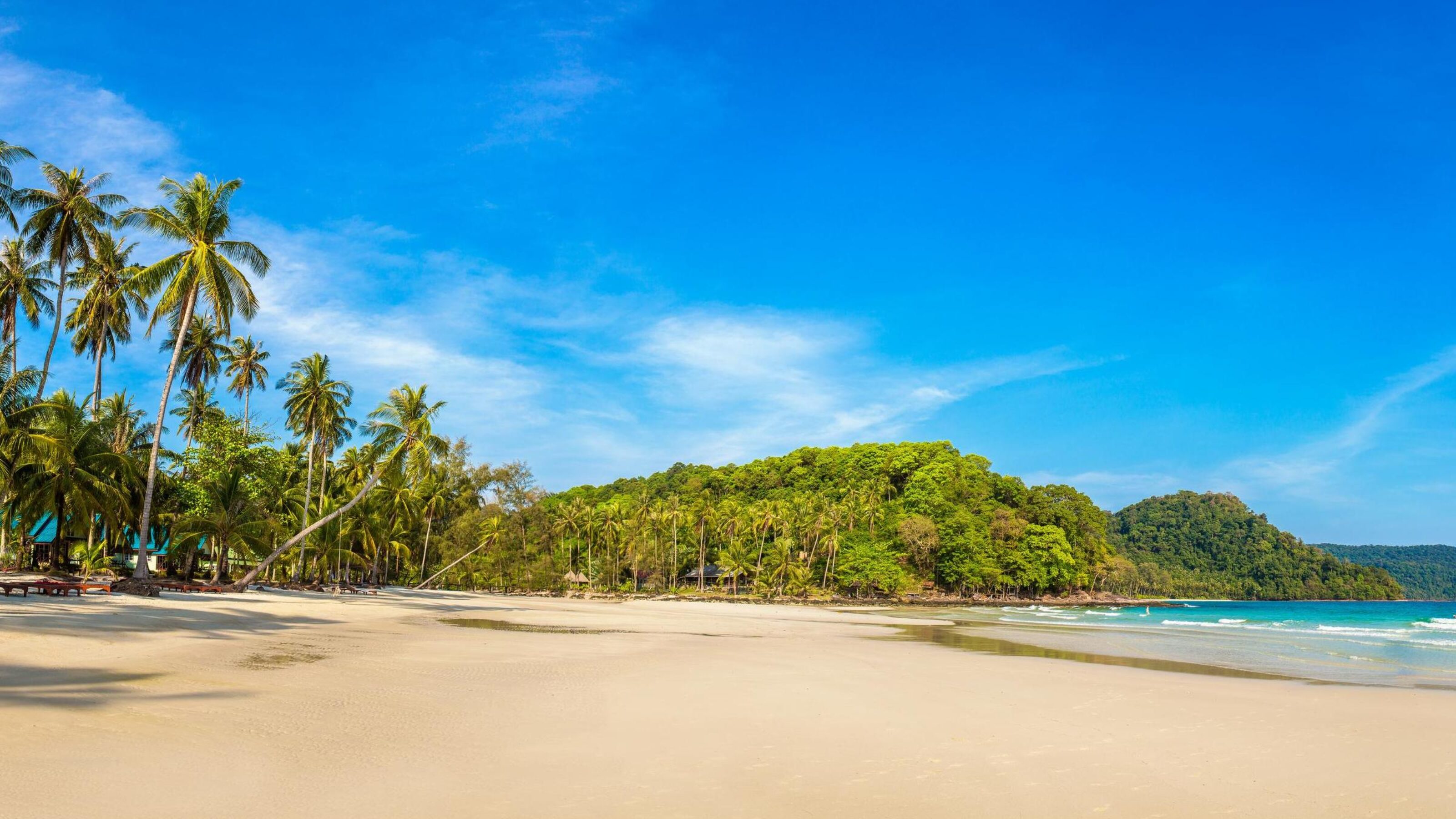 Family Safari and Beach Adventure