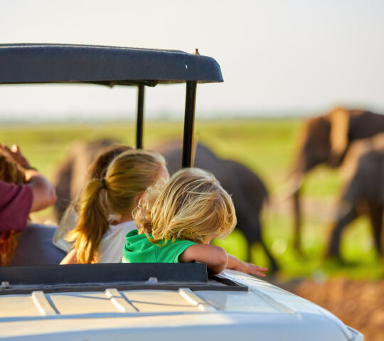 Children game driving in the Maasai Mara