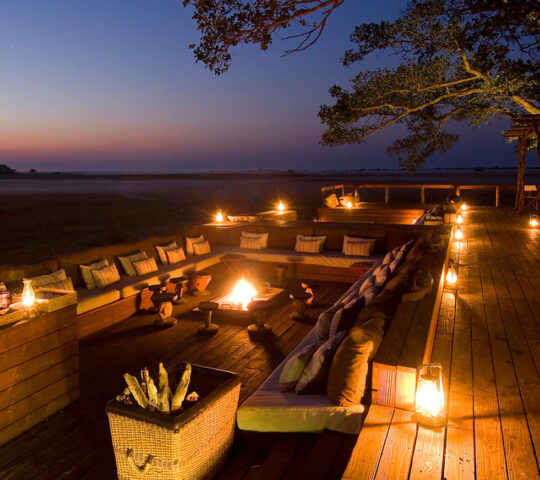 Wilderness Shumba