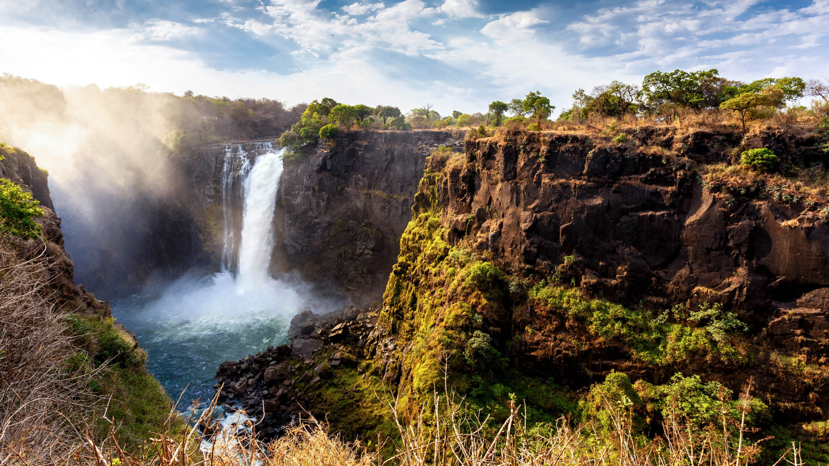 A Wild Adventure to Zambia and Zimbabwe