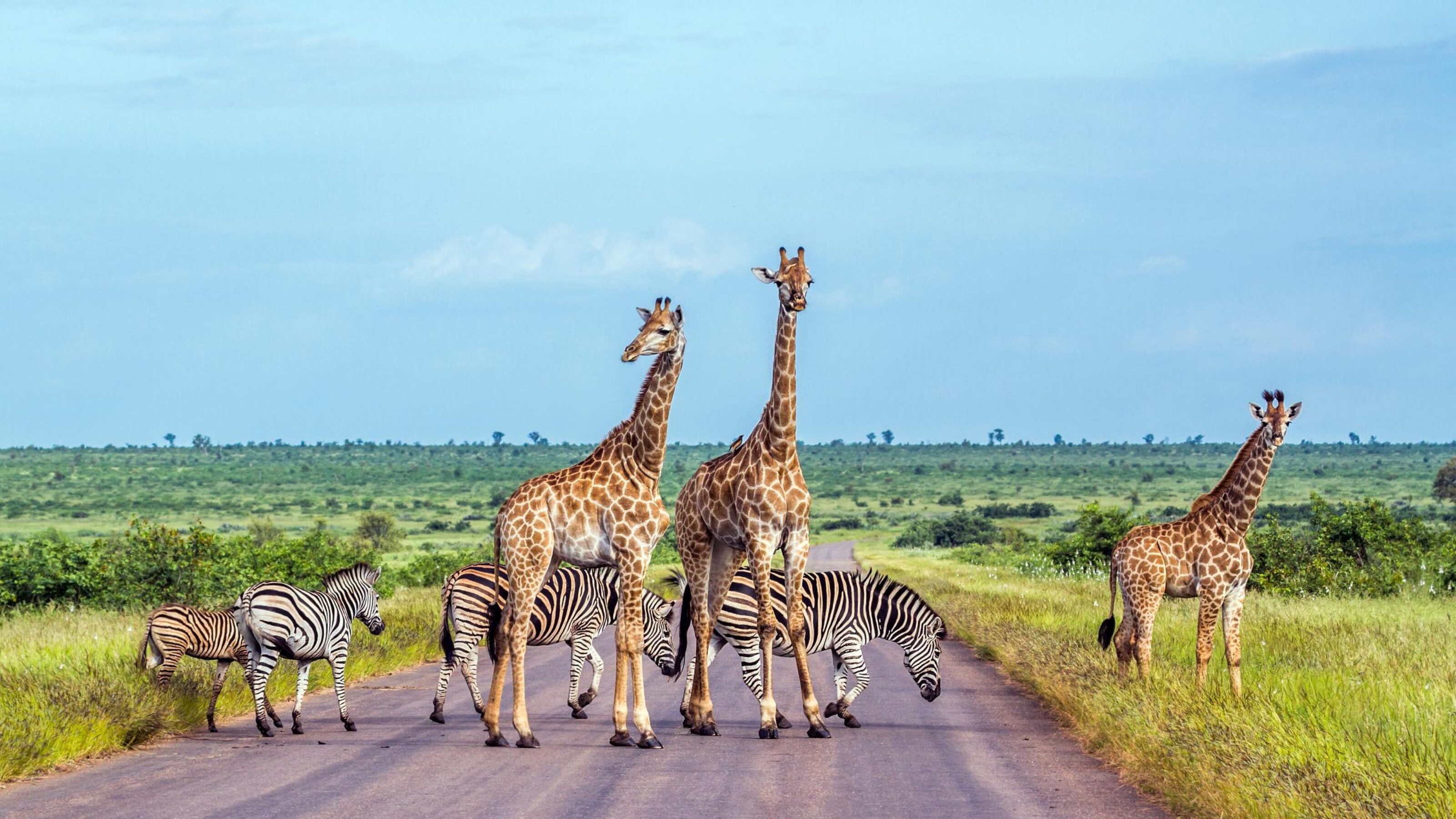 A Classic Cape, Kruger and Mauritius Beach Escape