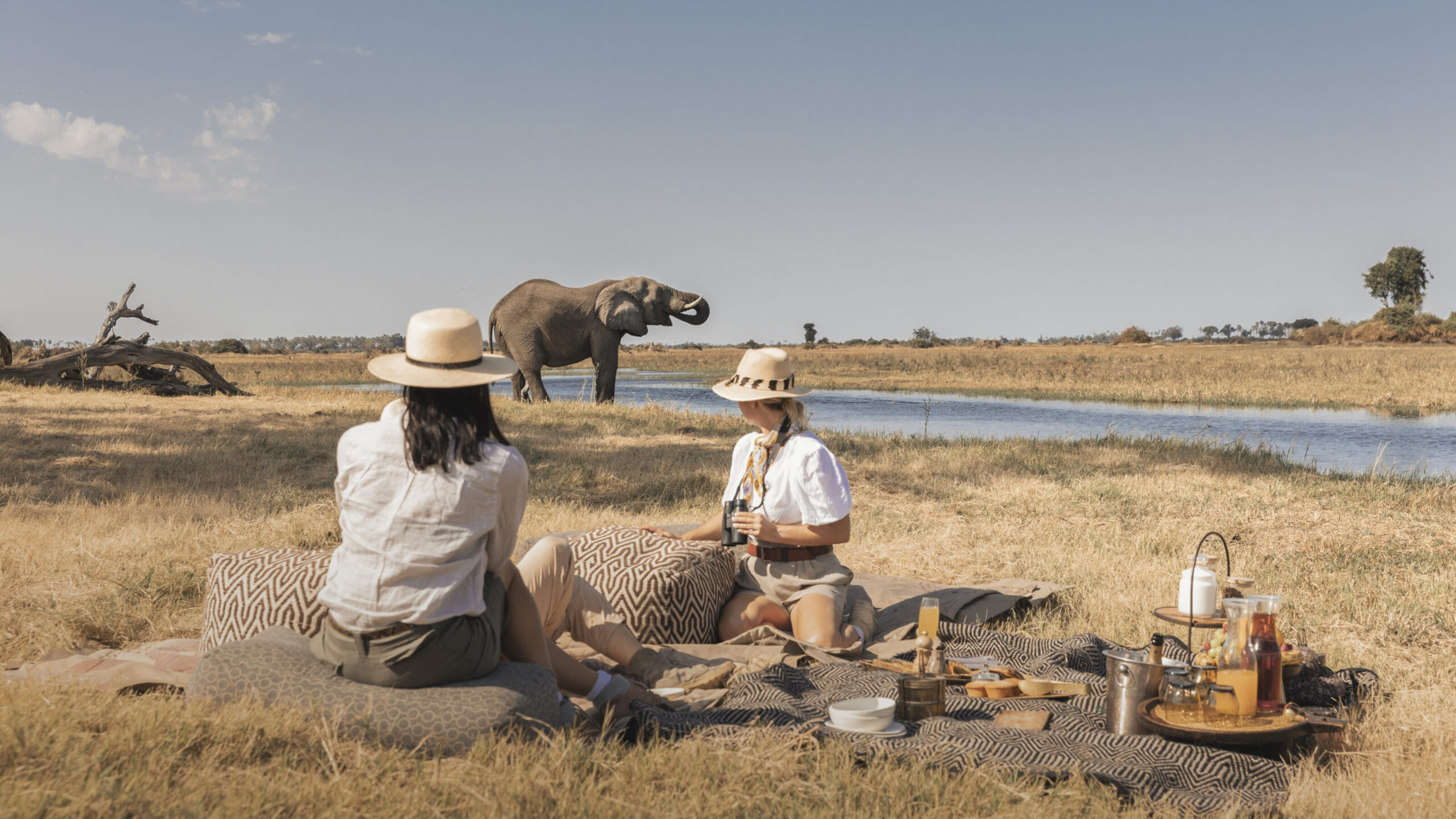 Luxury Botswana & Victoria Falls