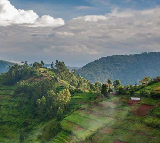 The misty landscapes of Volcanoes National Park, home to the mountain gorillas