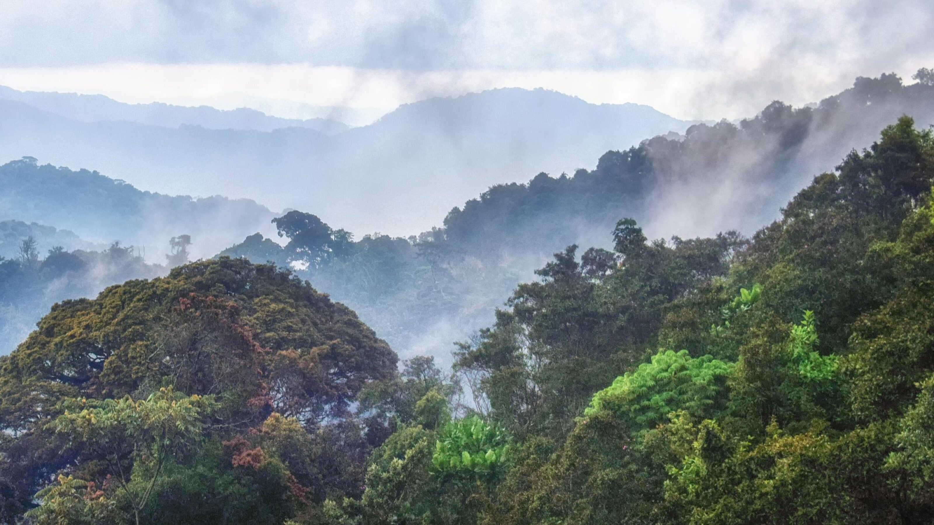 Best of Rwanda's National Parks
