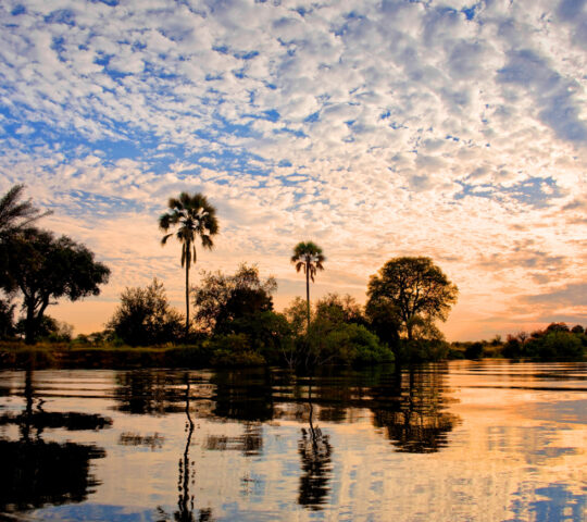 Zambezi River cruise