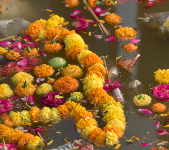 Offerings in the Ganges River