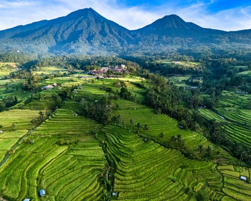 Private transfer to Ubud, via Jatiluwih and Batukaru Temple