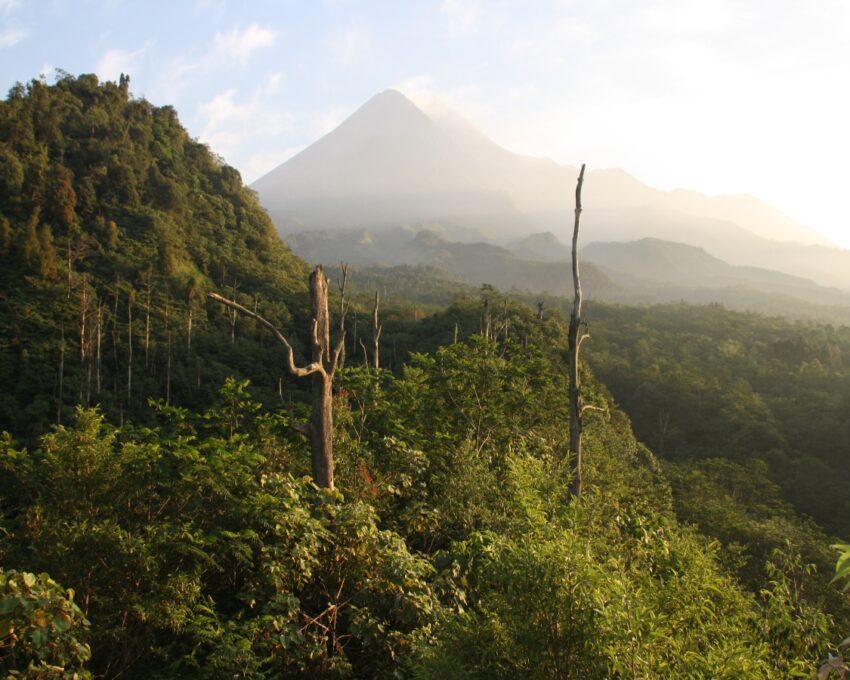 Menoreh Hill trek
