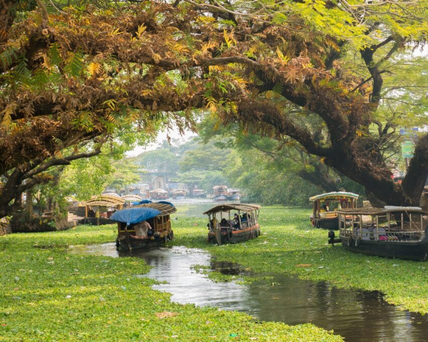 Houseboat cruise through Kerala's backwaters