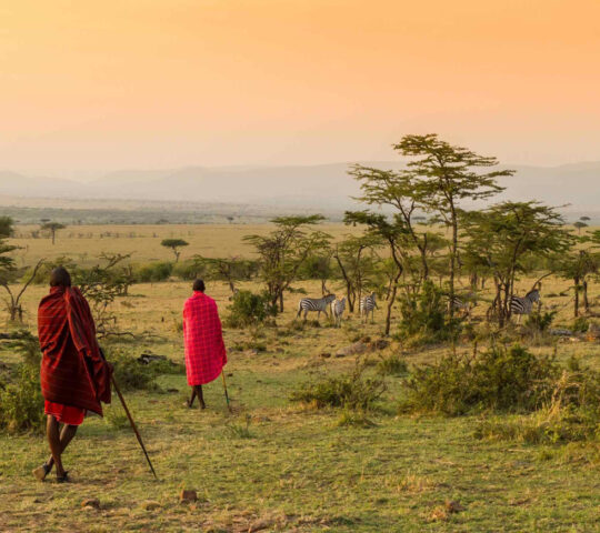 Maasai bush walk