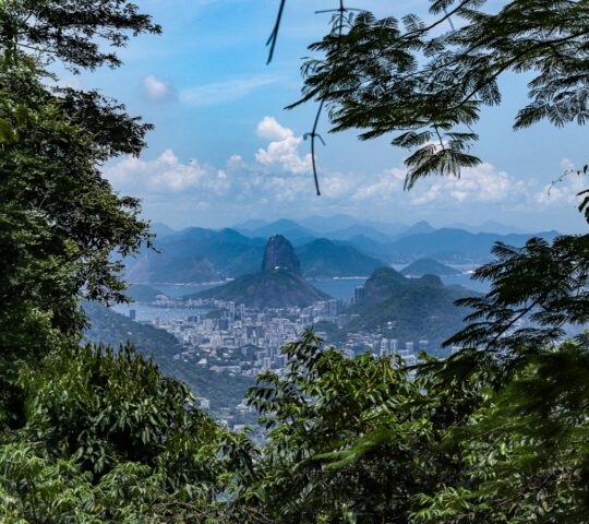 Views from the Tijuca Forest hike
