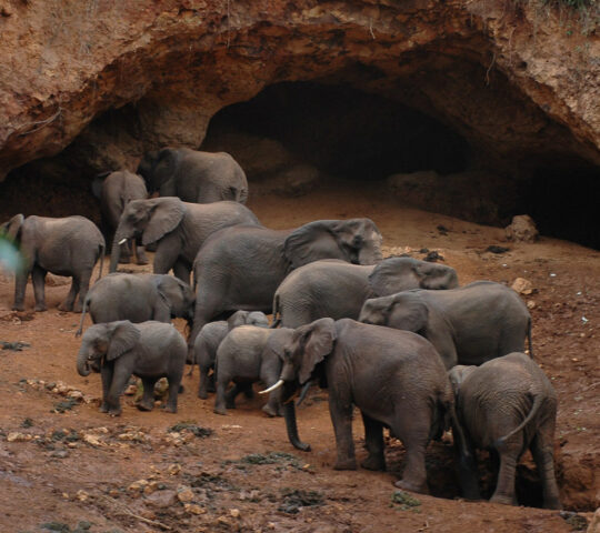 Elephant caves