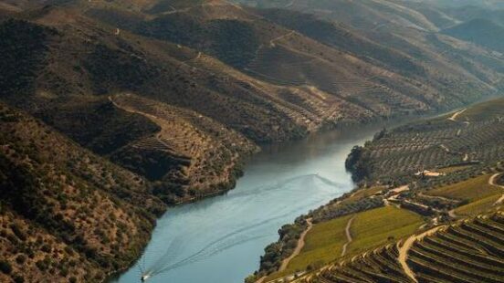 A winding river flows through steep, terraced hillsides with green vineyards under a clear sky.