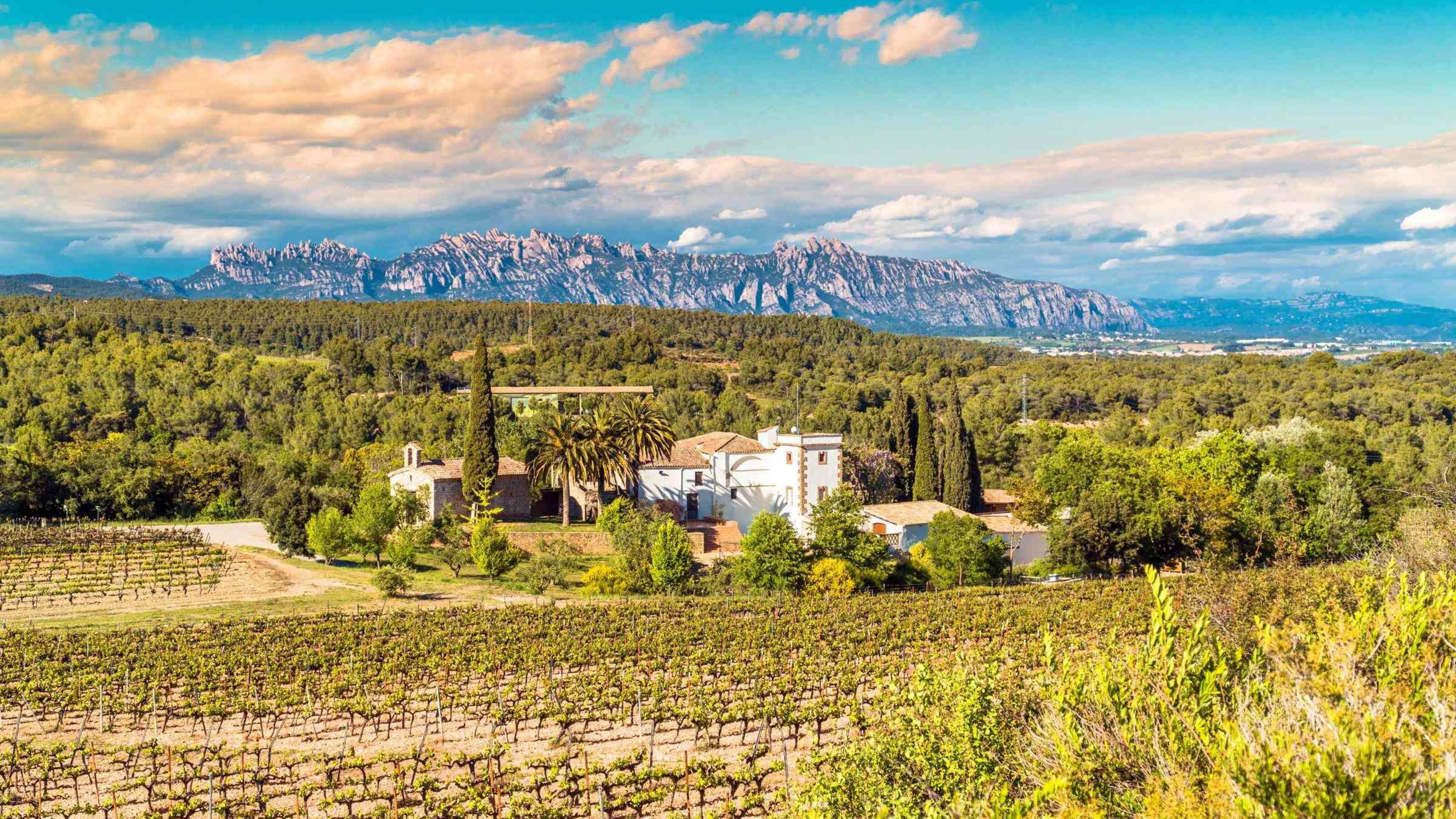 Looking over the Penedes wine reguion near Barcelona