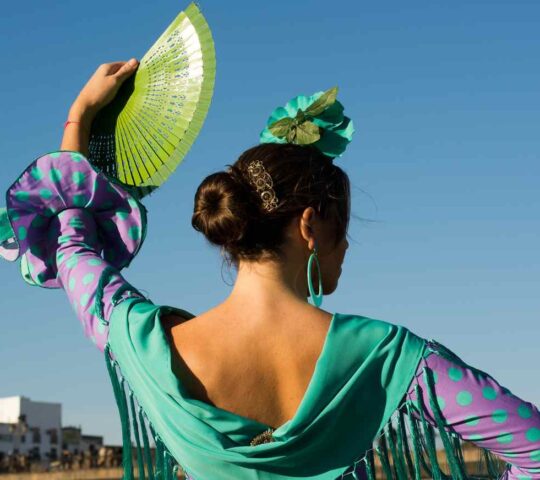 Appreciating the art of flamenco