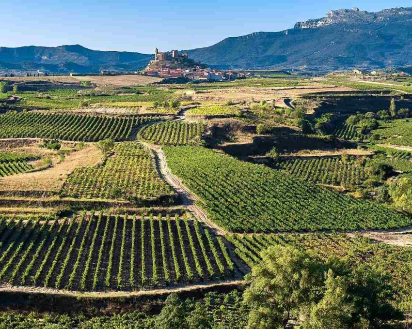 Winery tours and tasting