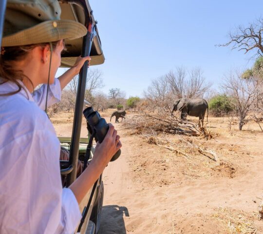 An Etosha National Park game drive
