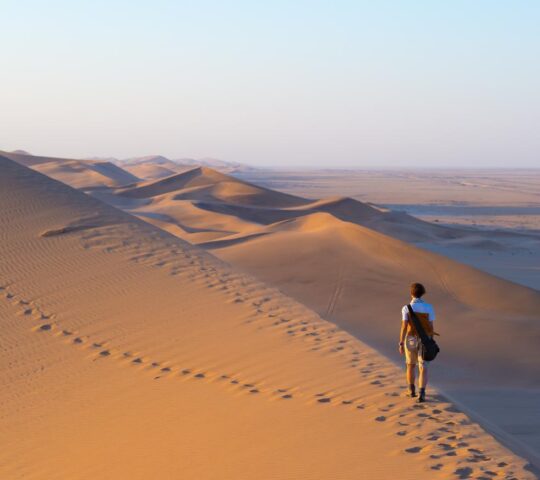 Explore Sossusvlei