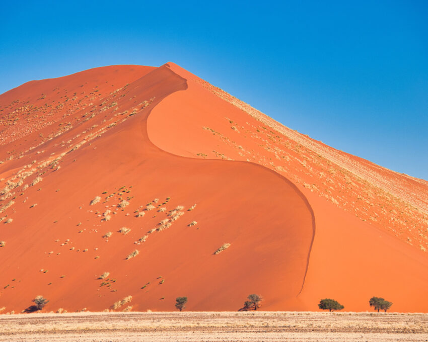 Privately guided excursion to the Sossusvlei dunes