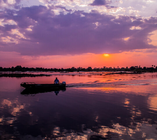Zambezi cruise