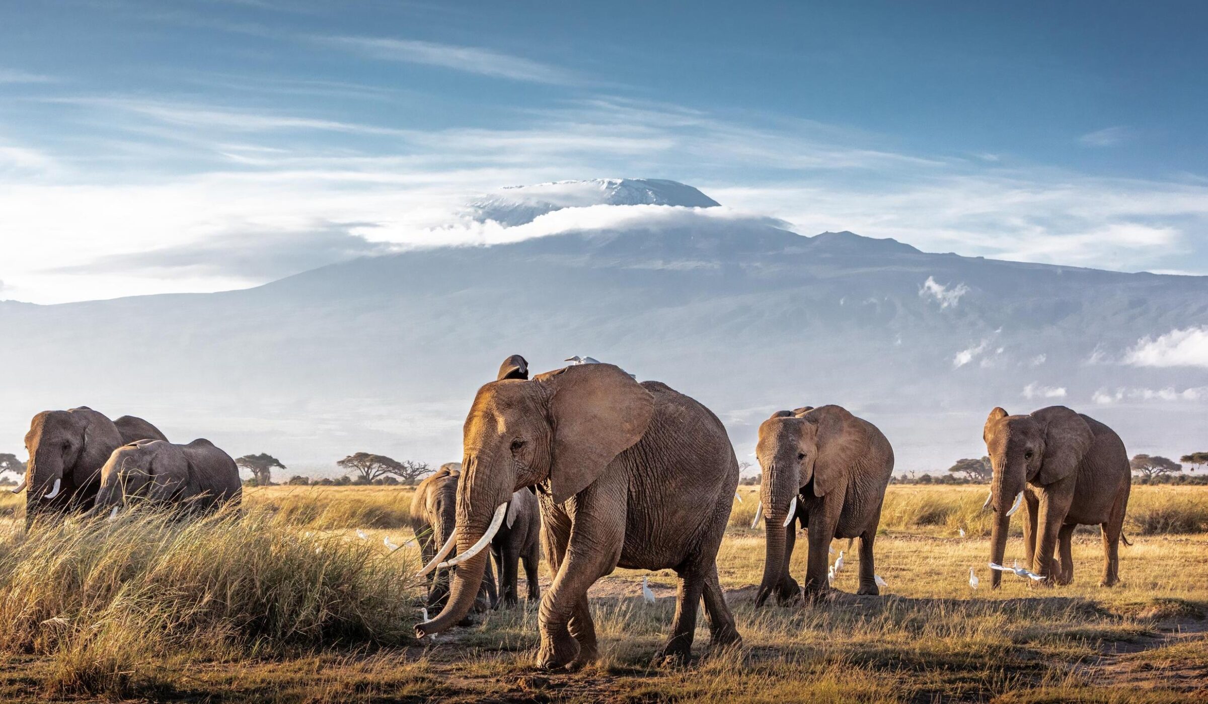 Amboseli