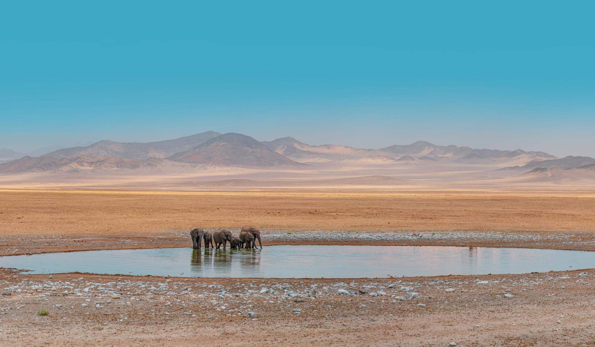 Etosha National Park