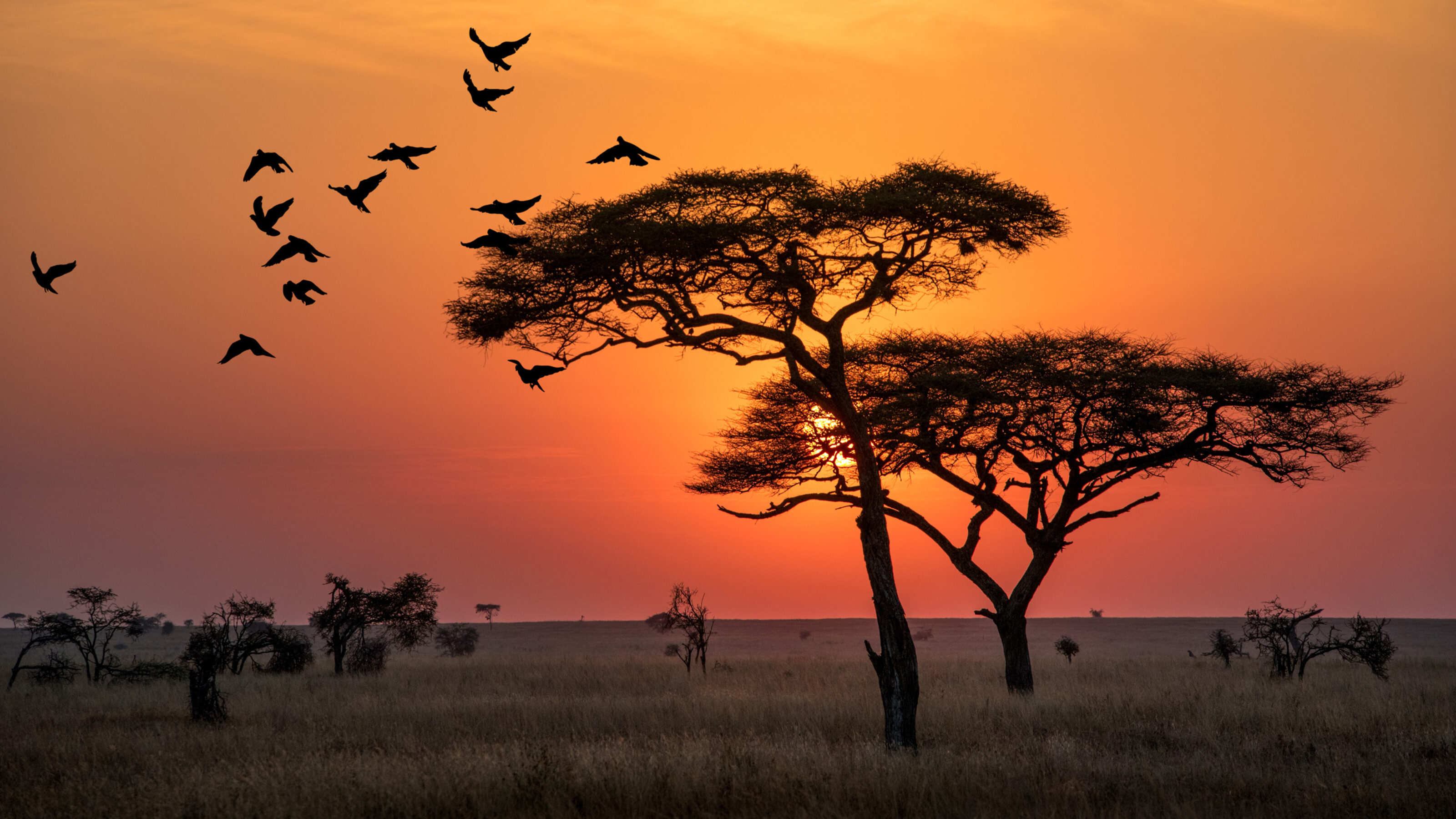 A Private Group Safari to Tanzania