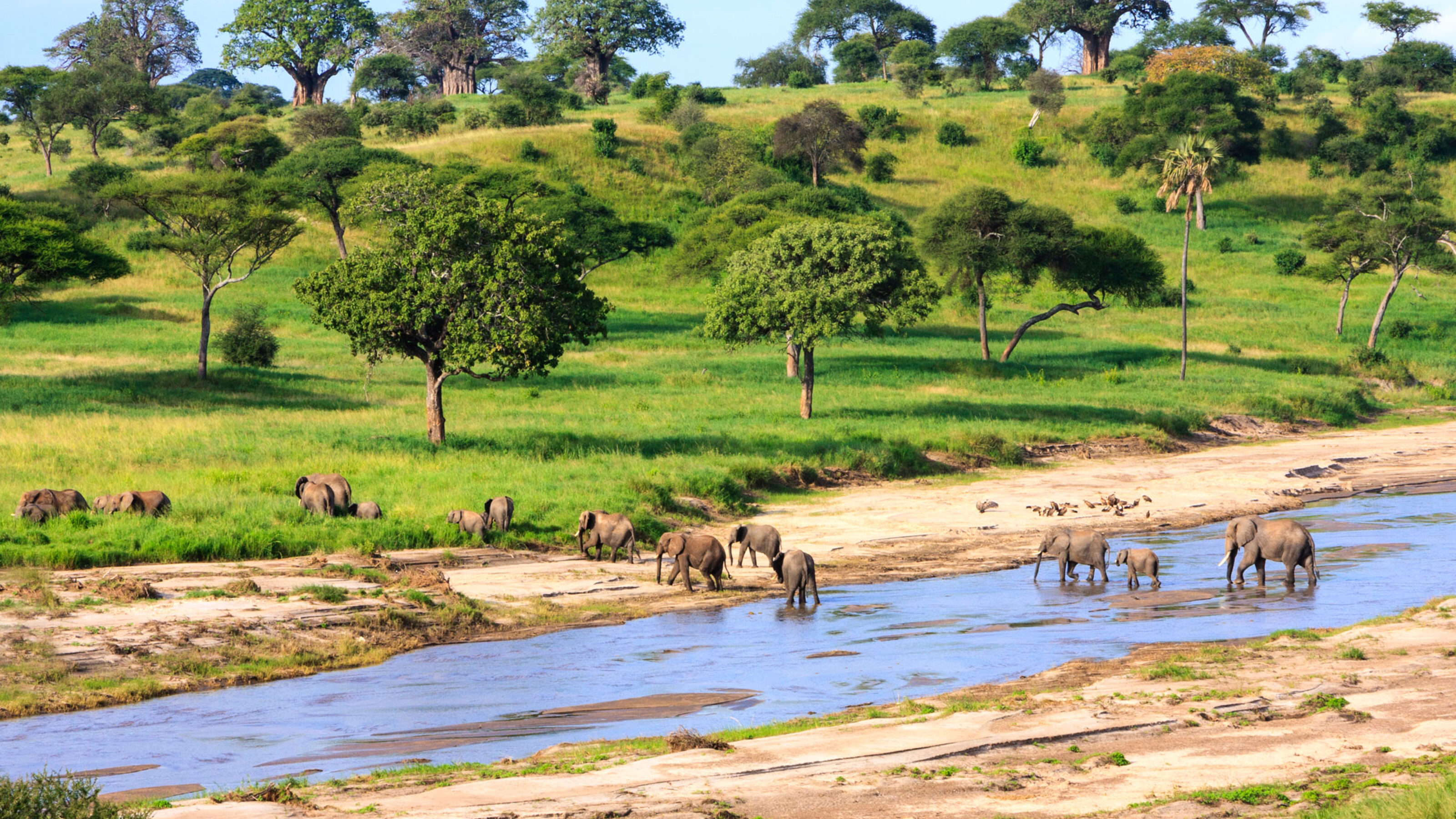 A Private Group Safari to Tanzania