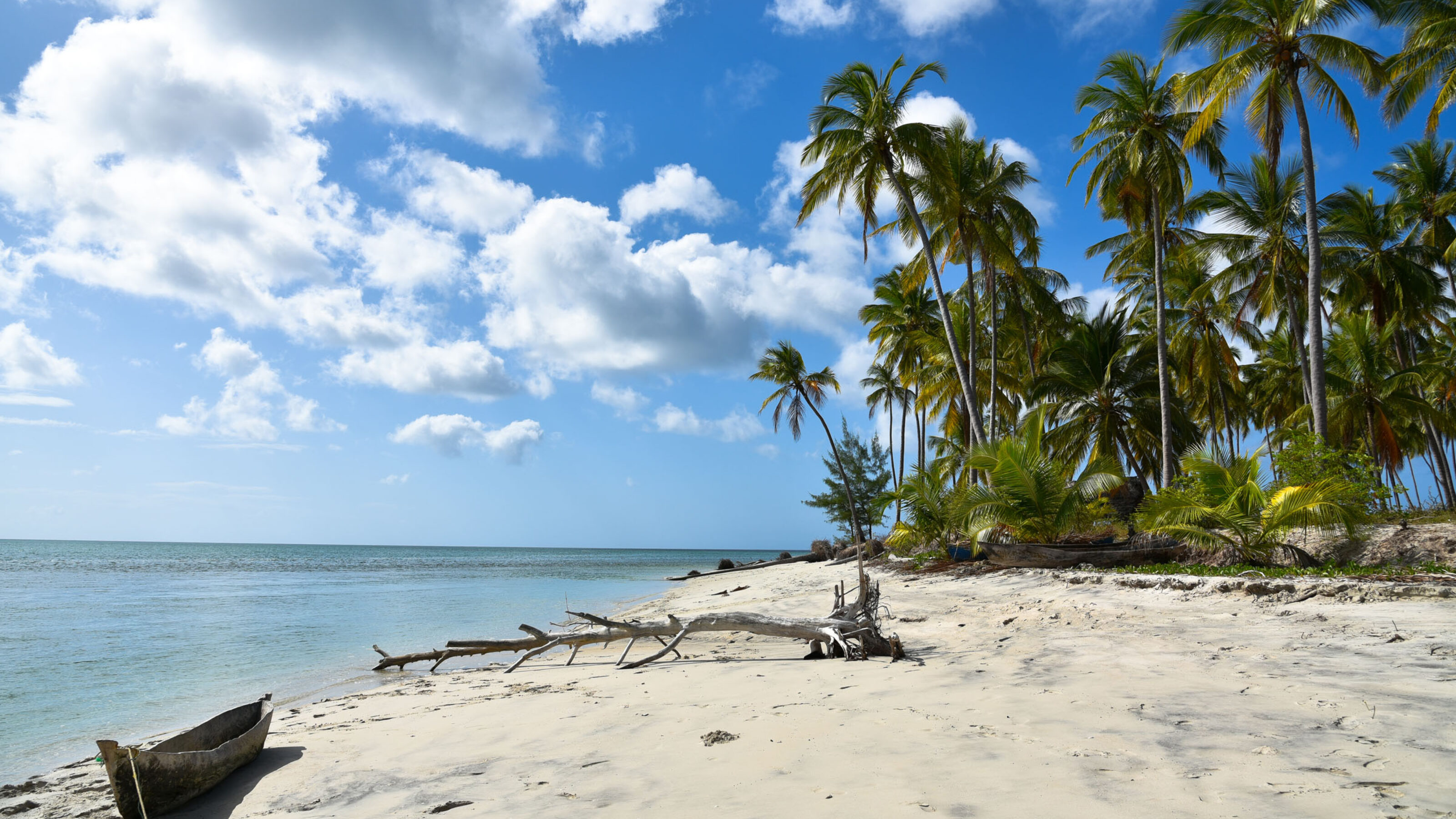 A Private Group Safari to Tanzania