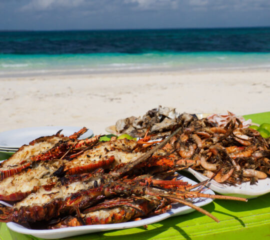 Fresh seafood