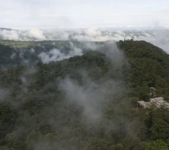 Explore the Cloud Forests