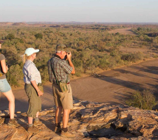 Walking safari