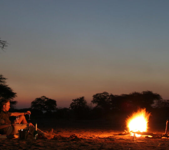 Night under the stars