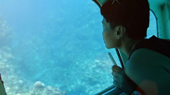 A traveller looks through a semi-submersiblex27;s window at marine life – Great Barrier Reef, Australia.