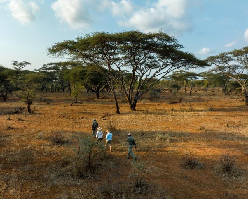 Explore the Malilangwe Wildlife Reserve