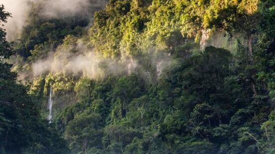 The Amazon river in the jungle, Southern Peruvian Amazon