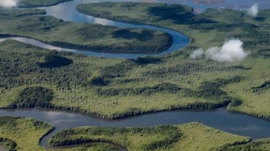 Aerial view of a river in the Osa Pensinsula, Costa Rica