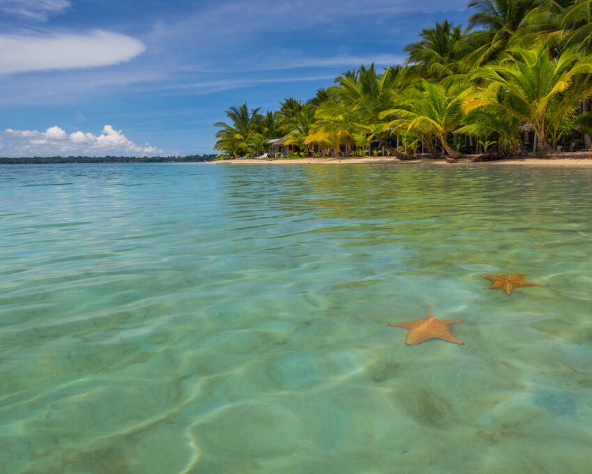 Explore a constellation of gorgeus Islands